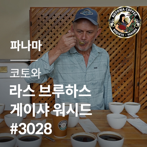 파나마 코토와 라스 브루하스 게이샤 워시드 #3028