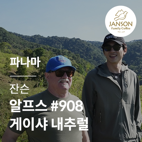 [파나마] [잔슨] 알프스 #908 게이샤 내추럴
