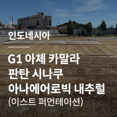 인도네시아 G1 아체 카말라 판탄 시나쿠 아나에어로빅 내추럴 (이스트 퍼먼테이션) &middot; 새해감사세일