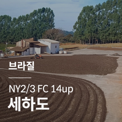 [브라질] NY2/3 FC 14up 세하도🧊COOL세일