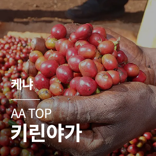 [케냐] AA TOP 키린야가