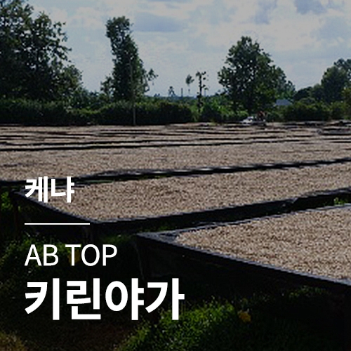 케냐 AB TOP 키린야가