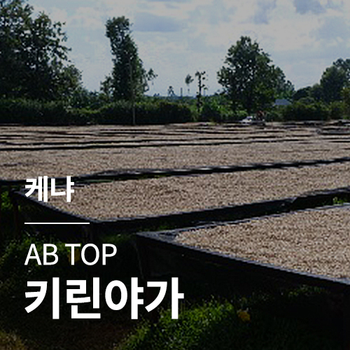 [케냐] AB TOP 키린야가