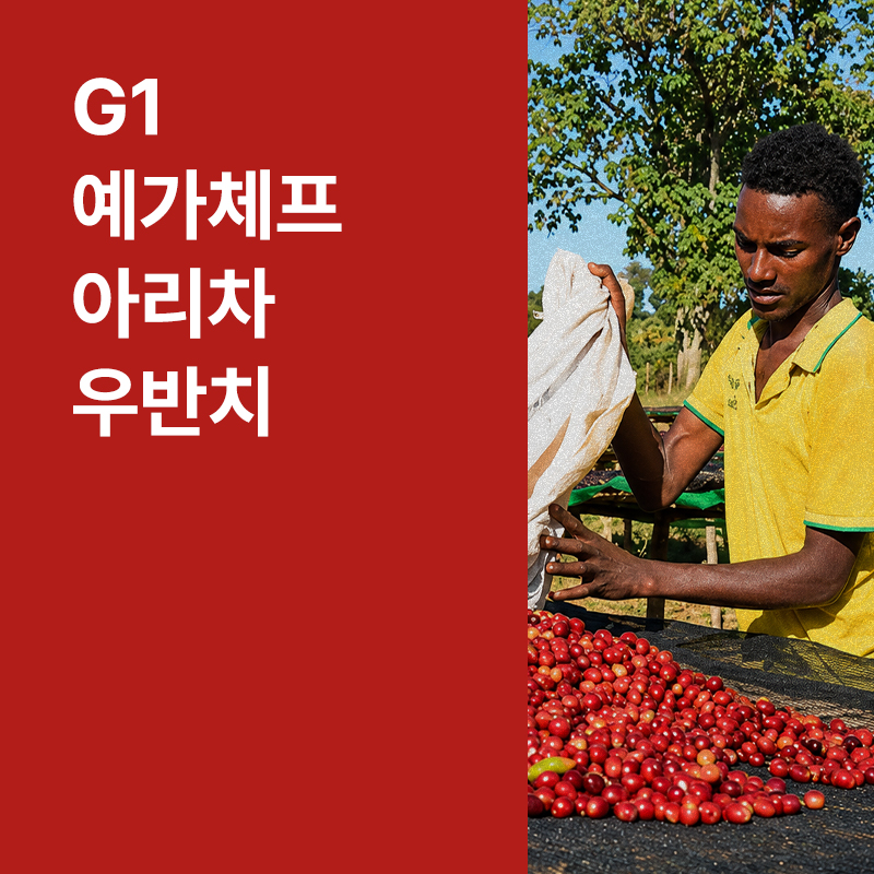 에티오피아 G1 예가체프 아리차 우반치 내추럴