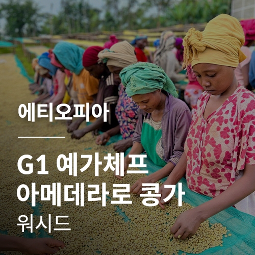에티오피아 G1 예가체프 아메데라로 콩가 워시드