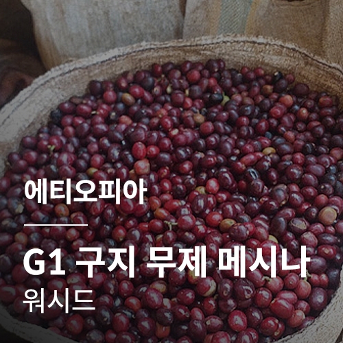 에티오피아 G1 구지 무제 메시나 워시드
