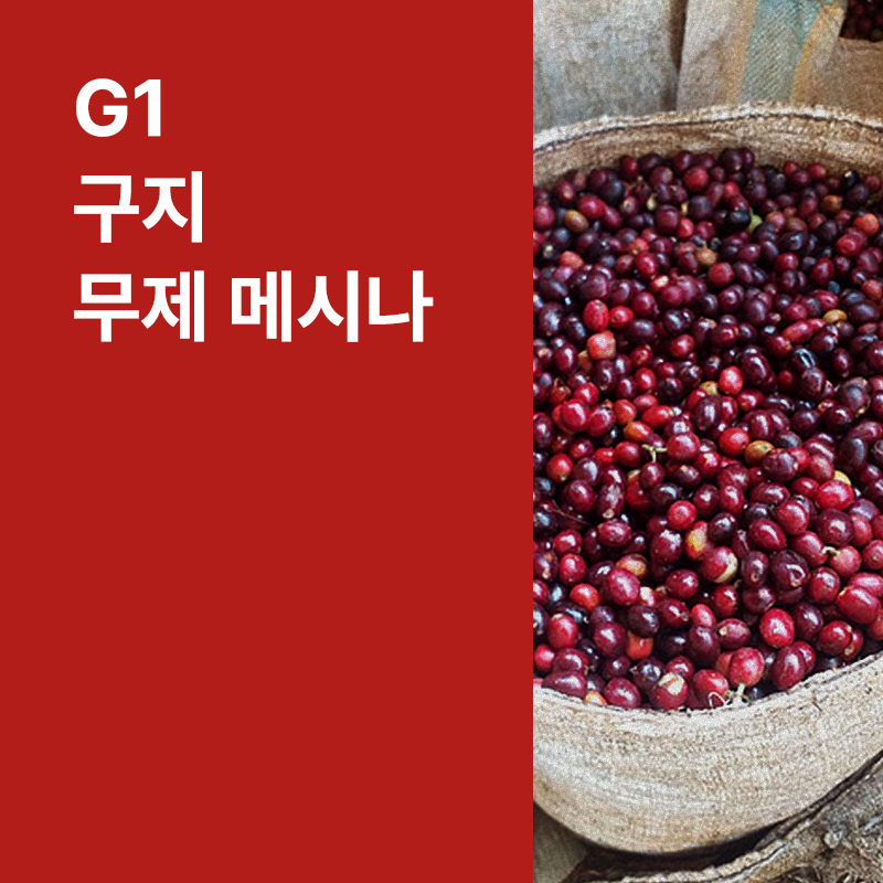 에티오피아 G1 구지 무제 메시나 워시드