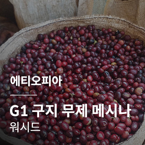 [에티오피아] G1 구지 무제 메시나 워시드✨NEWCROP✨