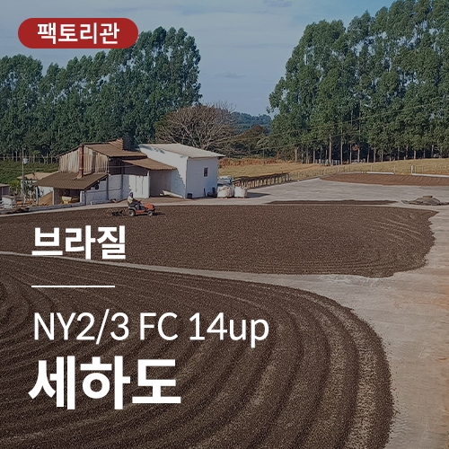 [브라질] NY2/3 FC 14up 세하도★20KG세일★