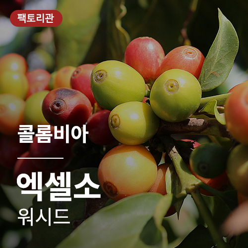 [콜롬비아] 엑셀소 워시드★20KG한정세일★🚨재고소진시종료🚨