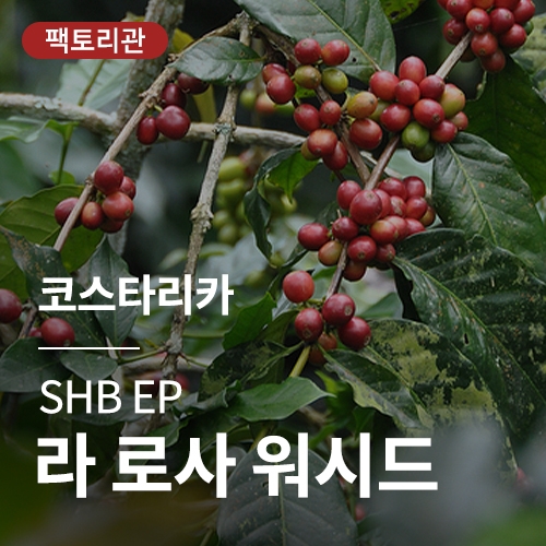 코스타리카 SHB EP 라 로사 워시드 &middot; 20KG세일