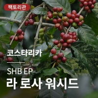 코스타리카 SHB EP 라 로사 워시드 &middot; 20KG세일