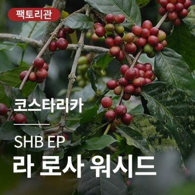 코스타리카 SHB EP 라 로사 워시드 &middot; 20KG세일
