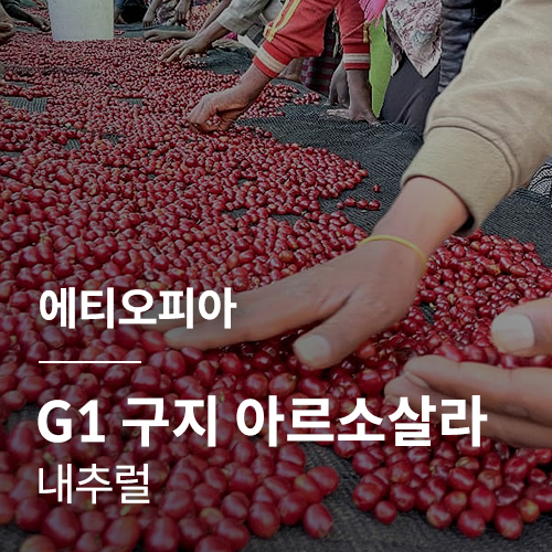 [에티오피아] G1 구지 아르소살라 내추럴 · 어텀세일