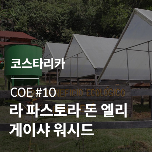 [코스타리카] [COE #10] 라 파스토라 돈 엘리 게이샤 워시드