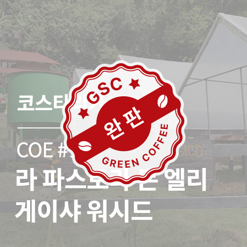 코스타리카 COE#10 라 파스토라 돈 엘리 게이샤 워시드