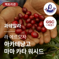 과테말라 라 에르모사 SHB EP 아카테낭고 마마 카타 워시드 &middot; 20KG세일