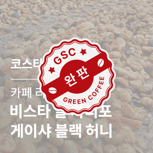 코스타리카 카페 리벤스 비스타 알 차리포 게이샤 블랙 허니