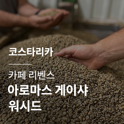 [코스타리카] [카페 리벤스] 아로마스 게이샤 워시드