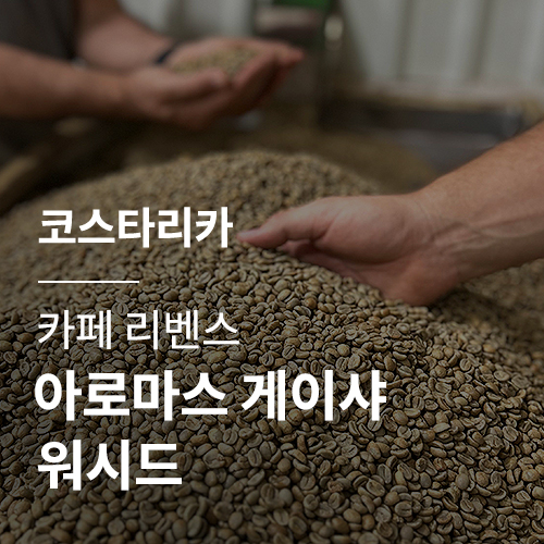 [코스타리카] [카페 리벤스] 아로마스 게이샤 워시드
