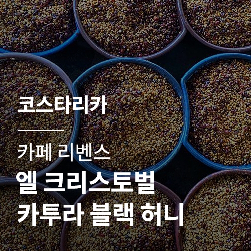 [코스타리카] [카페 리벤스] 엘 크리스토벌 카투라 블랙 허니
