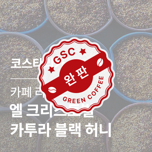 코스타리카 카페 리벤스 엘 크리스토벌 카투라 블랙 허니