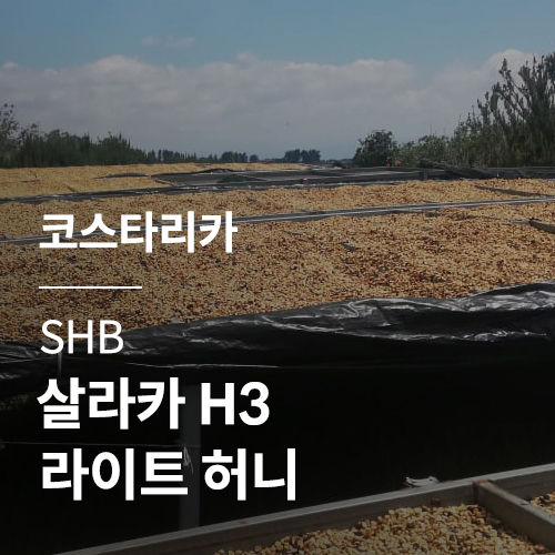 [코스타리카] SHB 살라카 H3 라이트 허니 · 어텀세일