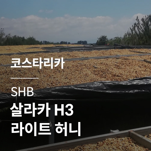 코스타리카 SHB 살라카 H3 라이트 허니 · 5월세일