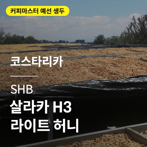 코스타리카 SHB 살라카 H3 라이트 허니