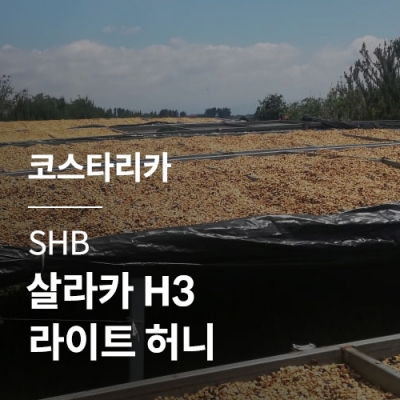 코스타리카 SHB 살라카 H3 라이트 허니 &middot; 6월세일