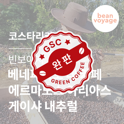 코스타리카 빈보야지 베네피시오 데 카페 에르마노스 아리아스 게이샤 내추럴