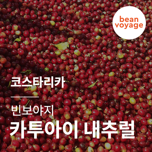 코스타리카 빈보야지 카투아이 내추럴 &middot; 2월세일