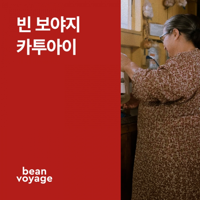 코스타리카 빈보야지 카투아이 내추럴