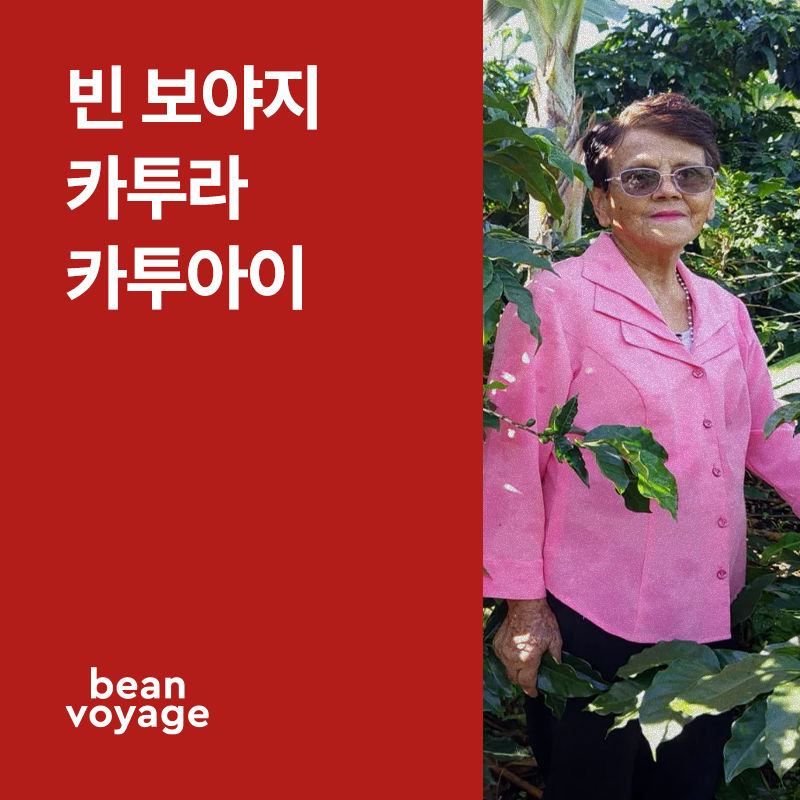 코스타리카 빈보야지 카투라, 카투아이 내추럴
