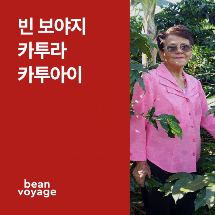코스타리카 빈보야지 카투라, 카투아이 내추럴