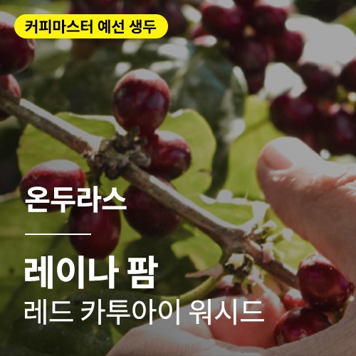 온두라스 레이나 팜 레드 카투아이 워시드