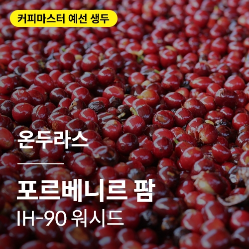 온두라스 포르베니르 팜 IH-90 워시드