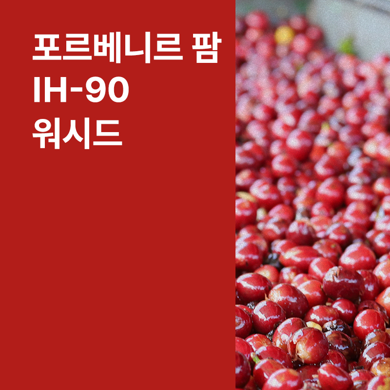 온두라스 포르베니르 팜 IH-90 워시드