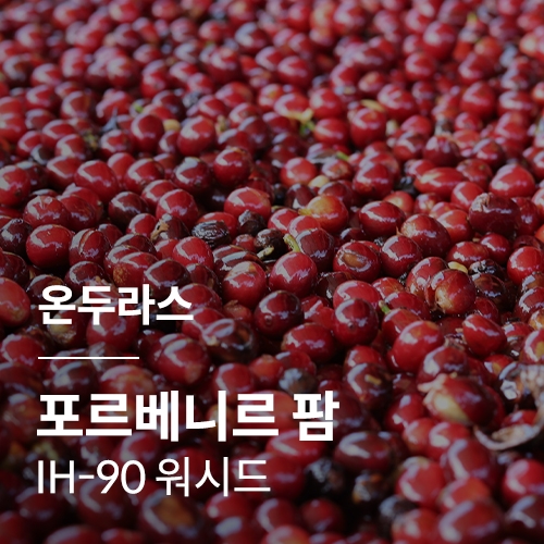온두라스 포르베니르 팜 IH-90 워시드