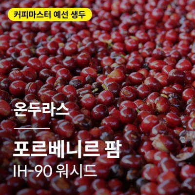 온두라스 포르베니르 팜 IH-90 워시드 &middot; 예선생두
