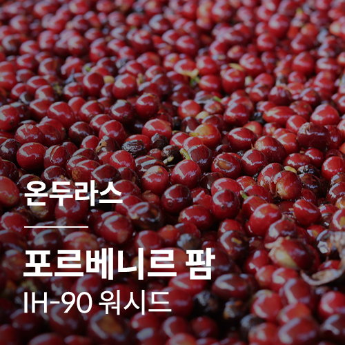 [온두라스] [포르베니르 팜] IH-90 워시드