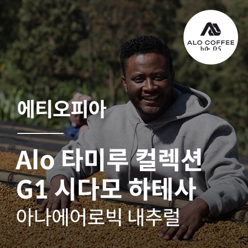 에티오피아 Alo 타미루 컬렉션 G1 시다모 하테사 아나에어로빅 내추럴