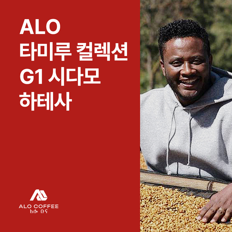 에티오피아 Alo 타미루 컬렉션 G1 시다모 하테사 아나에어로빅 내추럴