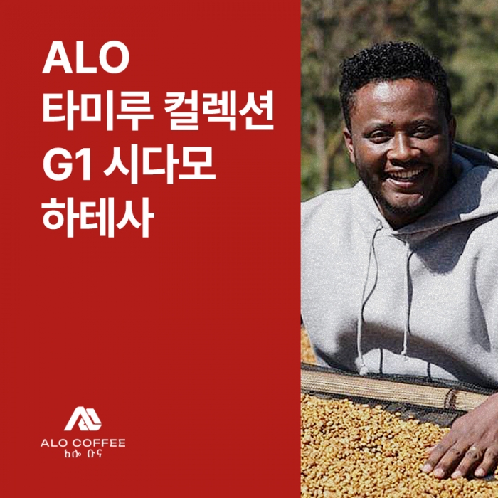 에티오피아 Alo 타미루 컬렉션 G1 시다모 하테사 아나에어로빅 내추럴