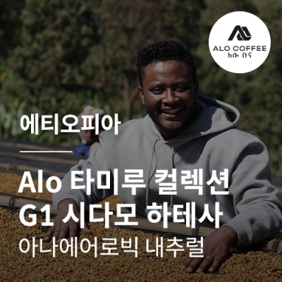 에티오피아 Alo 타미루 컬렉션 G1 시다모 하테사 아나에어로빅 내추럴