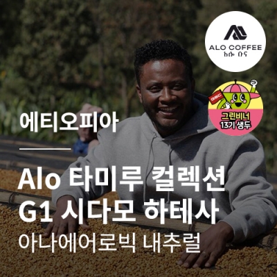 에티오피아 Alo 타미루 컬렉션 G1 시다모 하테사 아나에어로빅 내추럴 &middot; 4월세일