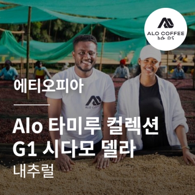 에티오피아 Alo 타미루 컬렉션 G1 시다모 델라 내추럴