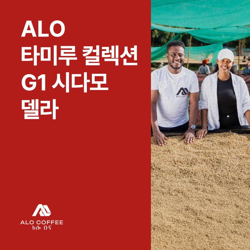 에티오피아 Alo 타미루 컬렉션 G1 시다모 델라 내추럴