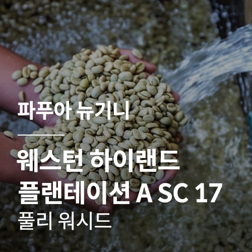 파푸아 뉴기니 웨스턴 하이랜드 플랜테이션 A SC 17 풀리 워시드 &middot; 2월세일
