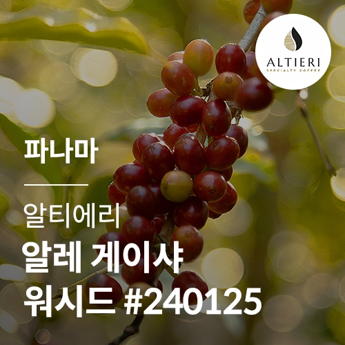 파나마 알티에리 알레 게이샤 워시드 #240125